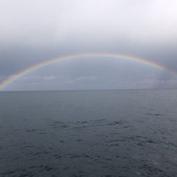 Hit Rush(ヒット ラッシュ） 釣果