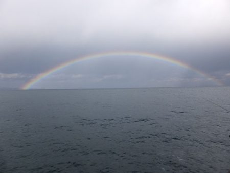 Hit Rush(ヒット ラッシュ） 釣果