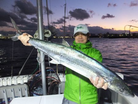 Hit Rush(ヒット ラッシュ） 釣果…