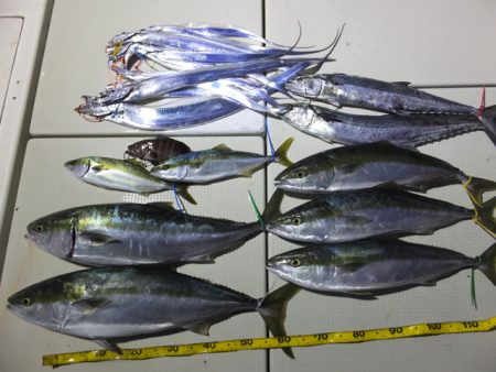 Hit Rush(ヒット ラッシュ） 釣果…