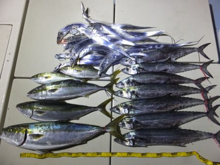 Hit Rush(ヒット ラッシュ） 釣果