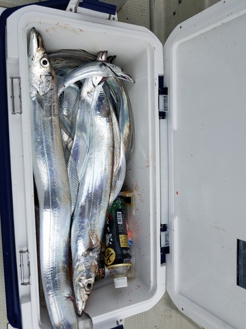 遊漁船　ニライカナイ 釣果