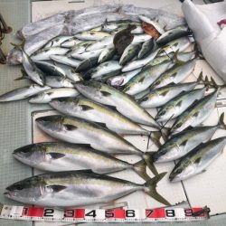 ふじしめ丸 釣果