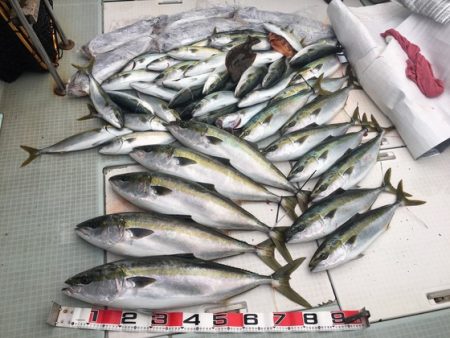 ふじしめ丸 釣果