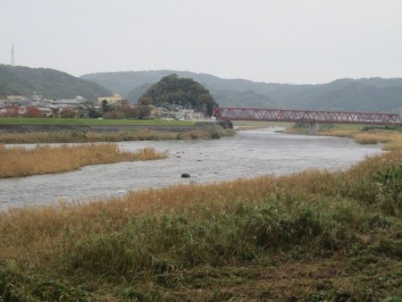狩野川（狩野川漁業協同組合） 釣果