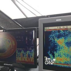 寿裕 （YOSHIHIRO） 釣果