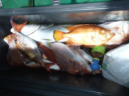 第二むつ漁丸 釣果