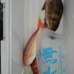 遊漁船 新鋭丸 釣果