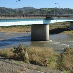 狩野川(狩野川漁業協同組合) 釣果