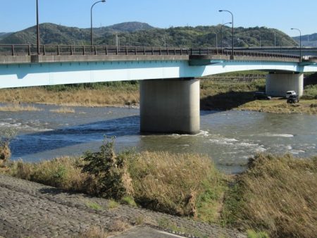 狩野川(狩野川漁業協同組合) 釣果
