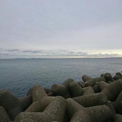 朝マズメでシーバス