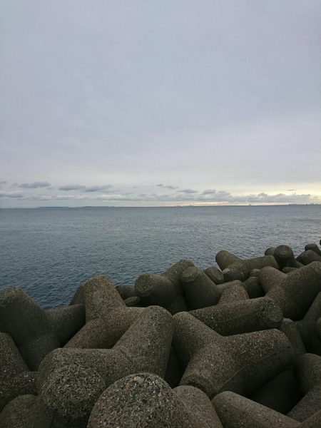 朝マズメでシーバス