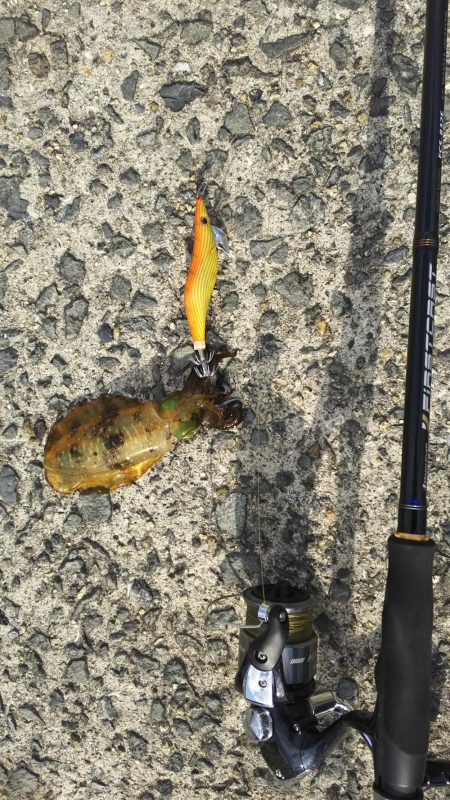 風の強い中の釣り