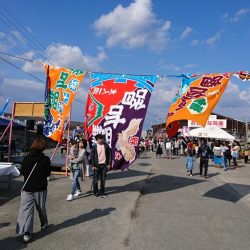 加太漁港デビュー