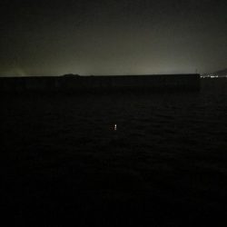 ひさびさタチウオ釣り(^^)