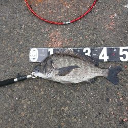 残念1cm足りない❗