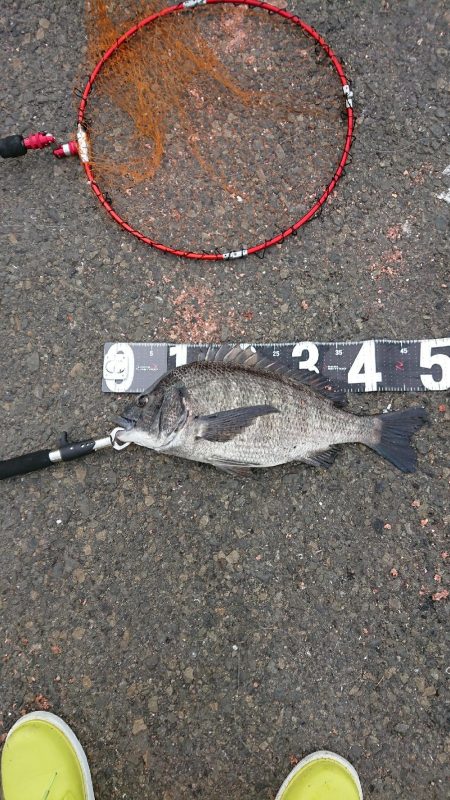 残念1cm足りない❗