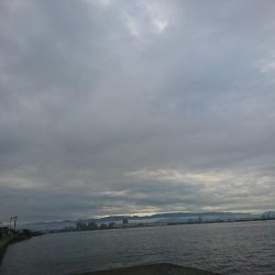 そろそろ終わりか…