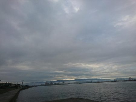 そろそろ終わりか…