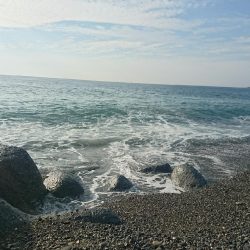 仁淀川河口サーフ