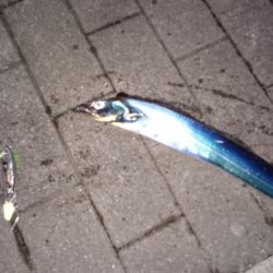 友人が初タチゲット！！