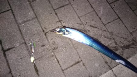 友人が初タチゲット！！