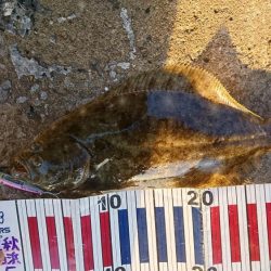 ボトムネチネチ♪