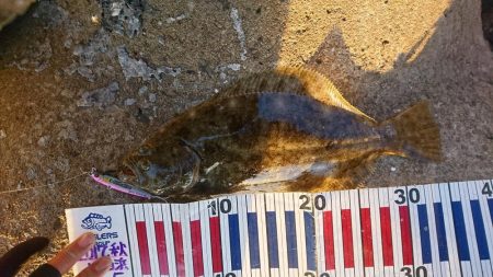 ボトムネチネチ♪