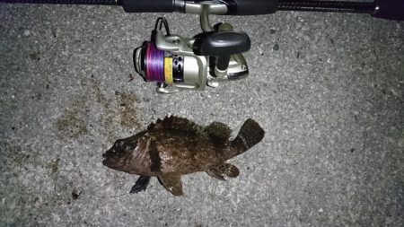 久しぶりの餌釣り❗