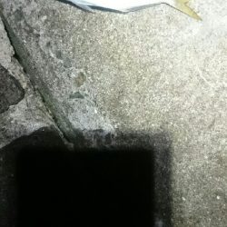 タチウオも少ない？