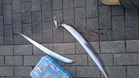 友人が初タチゲット！！