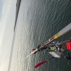 のんびりフカセ