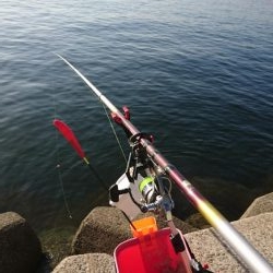 五目釣り(フカセ)