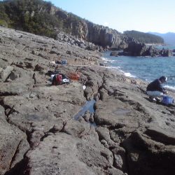 イシガキダイ、メンドリ、イガミ、サンノジハゲその他