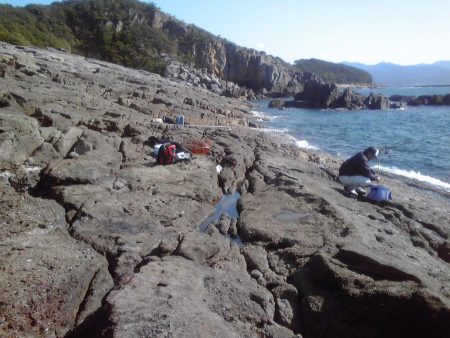 イシガキダイ、メンドリ、イガミ、サンノジハゲその他