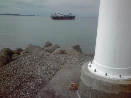 メッキ、ジャンボアジ、カイズ等