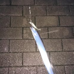 念願の初陸っぱりドラゴン❗