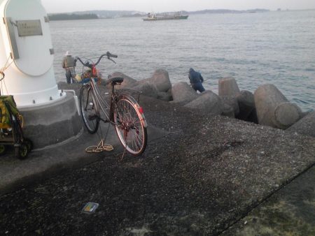 ヘダイ、サバ、アジ