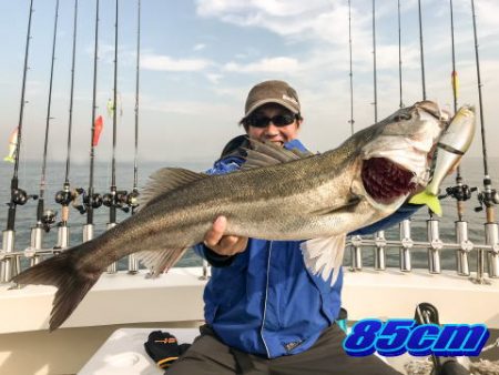 オーシャンマスター 釣果