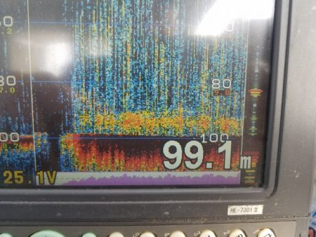 遊漁船　ニライカナイ 釣果