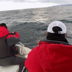 フィッシングボート空風(そらかぜ) 釣果