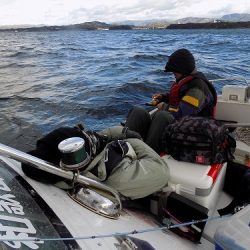 フィッシングボート空風(そらかぜ) 釣果