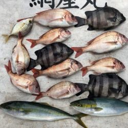 網屋丸 釣果