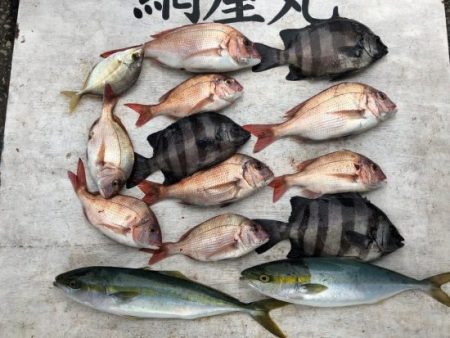網屋丸 釣果