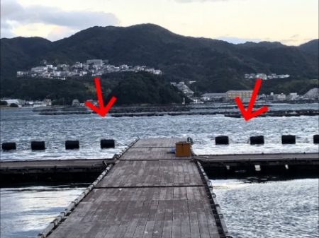 淡路じゃのひれフィッシングパーク 釣果