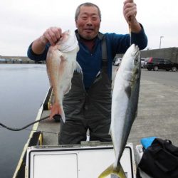 大進丸（新潟） 釣果