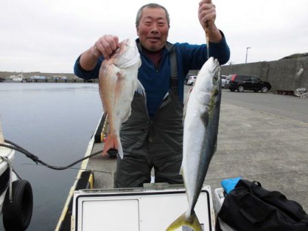 大進丸（新潟） 釣果