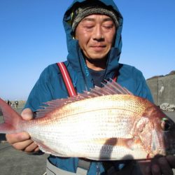 大進丸(新潟) 釣果