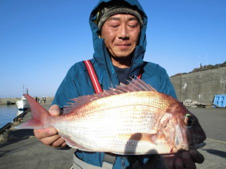 大進丸(新潟) 釣果