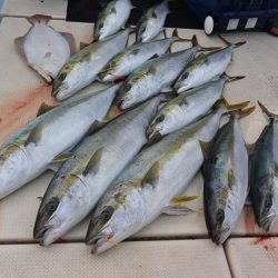 宝生丸 釣果